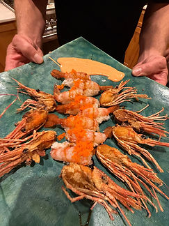 WhatsApp Image 2026-04-07 at 4.49.11 PM.jpeg