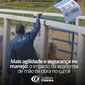 Mais agilidade e segurança no manejo: o impacto da economia de mão de obra no curral