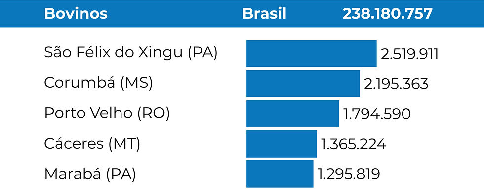 Source: IBGE Municipal Livestock Survey (PPM).