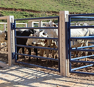 Anti-stress Corral C12 IMG 2 ~ Currais Itabira