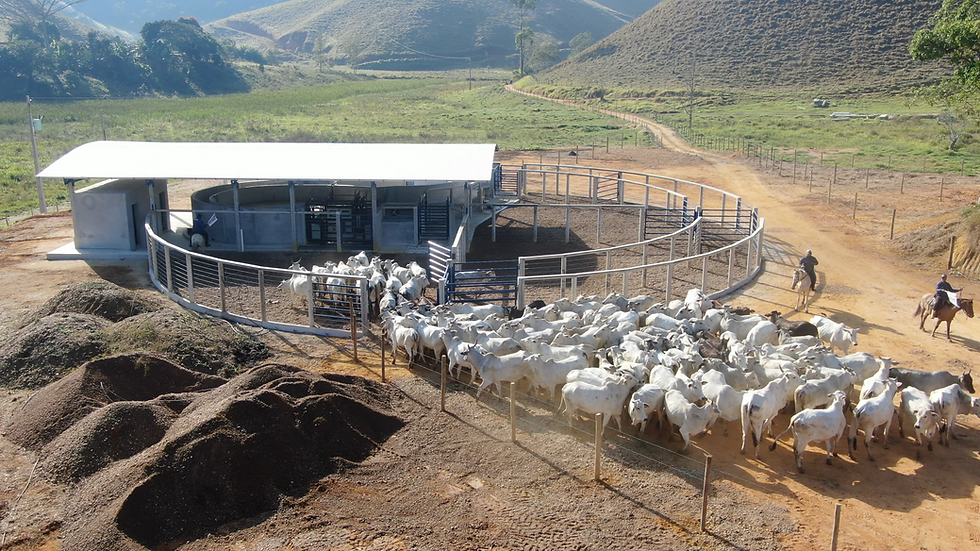 Curral pré-moldado anti-stress C12 - Currais Itabira