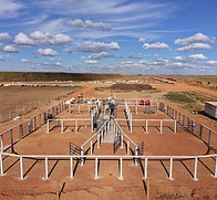 Antiestrés Curral C61 IMG 4 ~ Currais Itabira