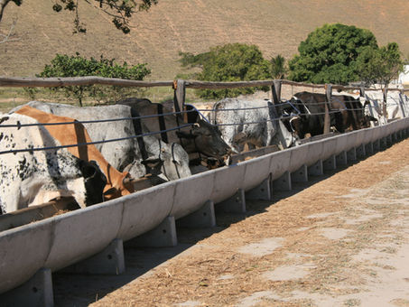 Cocho para confinamento de concreto autoadensável da Currais Itabira