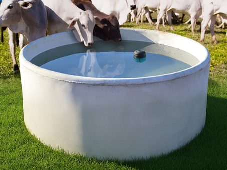 Bebedouro de concreto autoadensável da Currais Itabira