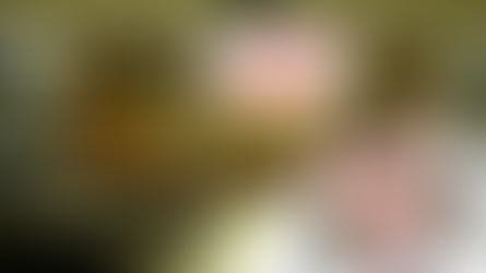 (Video) Asamblea de Ecuador aplaza la votación de reformas del Código Penal que busca afrontar la crisis de violencia