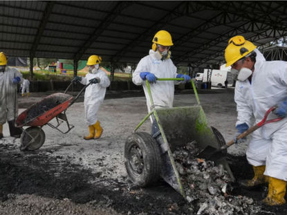 Localizan dos grandes laboratorios de procesamiento de droga en Ecuador y Colombia