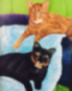 56375DF8-0E7A-4270-A8C9-AC5F7896FF64