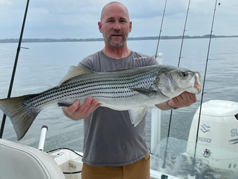 Lake Hartwell Fishing Report - April 1, 2021