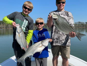 Lake Hartwell Fishing Report - April 15, 2021