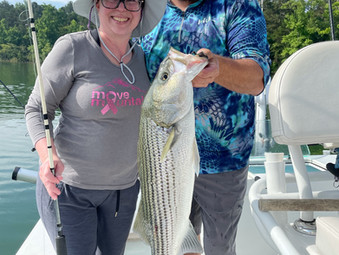 Lake Hartwell Fishing Report - June 11, 2021