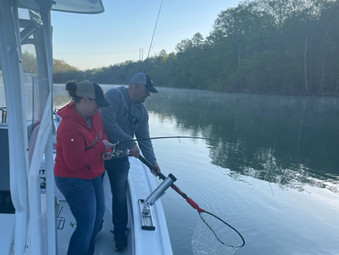 Lake Hartwell Fishing Report - April 22, 2021