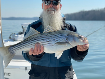 Lake Hartwell Fishing Report - March 10th, 2021