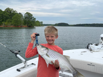 Lake Hartwell Fishing Report - April 29, 2021