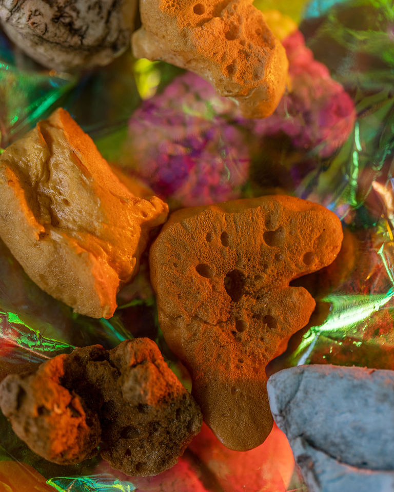 Die Fotografin Nora Dal Cero zeigt Fotografien von  angeschwemmten Plastikfundstücken, welche die sie am Comersee nach einem Unwetter im Sommer 2024 eingesammelt hat. Die Objekte strahlen eine traurige Schönheit aus, sie wirken organisch und mit der Natur verschmolzen. Wie Steine, Pflanzen oder auch Korallen, welche von Plastik bedroht werden.