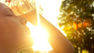 Extreme Heatwave Sets New Temperature Records Across Europe