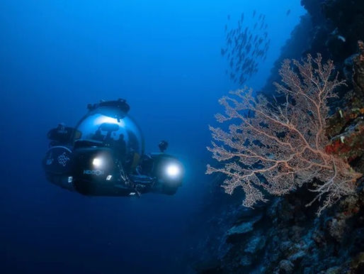 New Ocean Research Expedition Discovers Hundreds of Unknown Marine Species