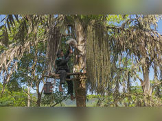 A Sweet Victory for Tradition: Sri Lanka’s Kithul Tapping Inscribed on UNESCO’s Heritage List