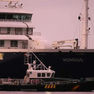 Crisis on the Atlantic: Hantavirus Quarantine Near the Canaries