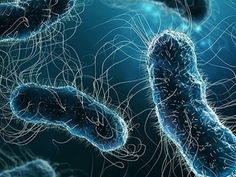 Scientists Discover Promising Treatment for Drug-Resistant Infections