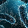 Scientists Discover Promising Treatment for Drug-Resistant Infections
