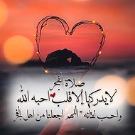 Mahmoud Gamal Halim