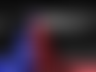 The State of the Union Rebuttal: A Stark Divide in Perceptions