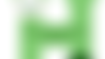 Havertown's First Holiday Festival!