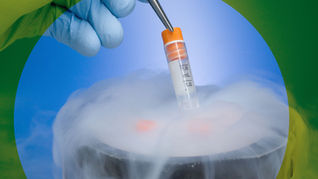 What does an embryo grading mean?