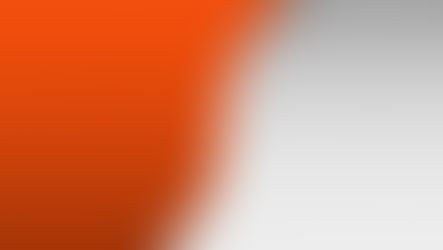 במחיר המחצית השנייה של השקל