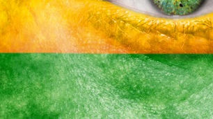 על גאווה ודעה קדומה, או: מה לתבונה ורגישות ולאנסטסיה מיכאלי?*