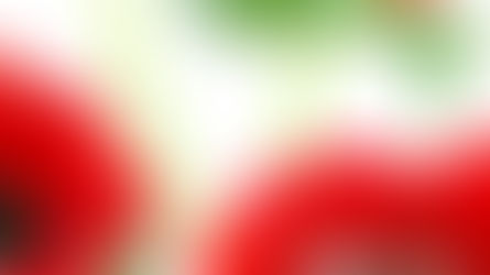 רגע לפני שבת: כלניות