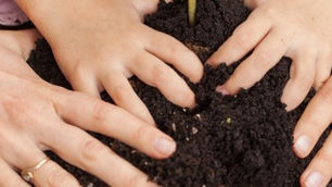 רגע לפני שבת: ברכה לגאיה