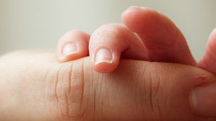 רגע לפני שבת: אינסטינקט בסיסי