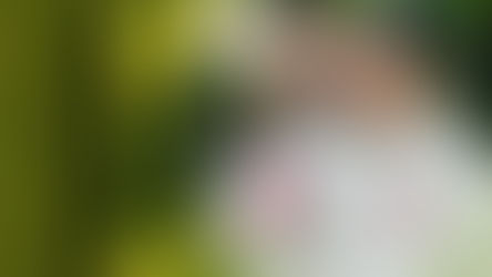 האם אנחנו צריכים להתחתן במסגרת התהליך?