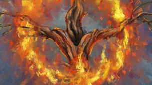 הלל ללילה הארוך בשנה או היום הקצר. תלוי בזווית