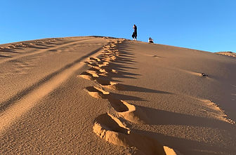 Image Sahara (1).jpg