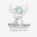 Willow Oasis Esthetics & Skin Care