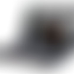 Navegador Cirúrgico Eximius