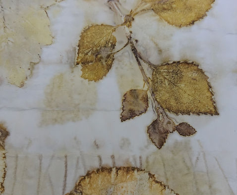 botanically dyed ecoprinting course