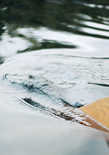 Canoe paddle in the water