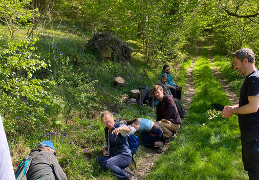 grubbing for pignuts on a wild food walk