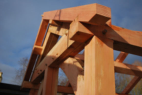 Green timber framed building made on a course
