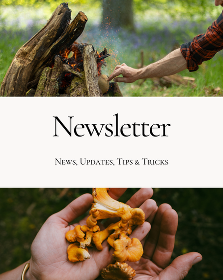 MAY 2026 - Newsletter