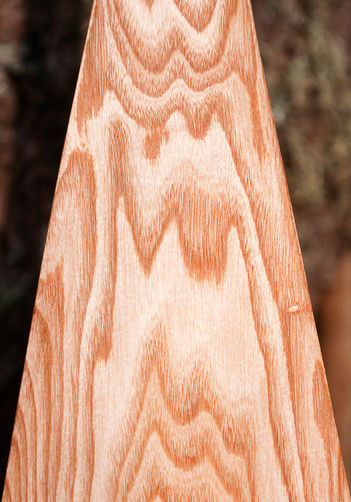 Lovely wood grain on a canoe paddle