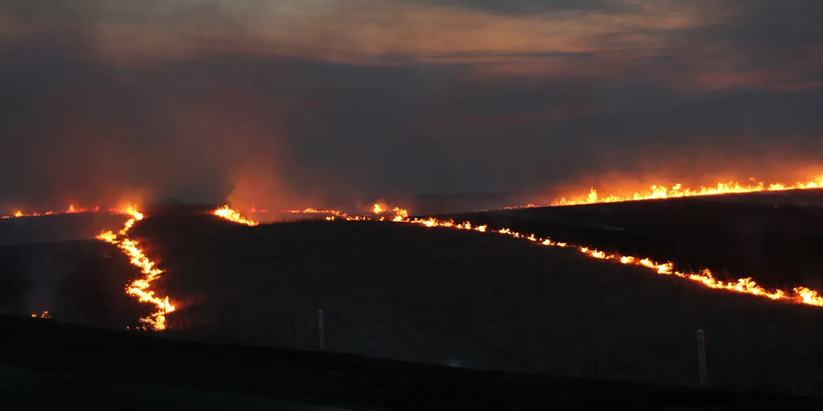 Image of a sunset sky, with stripes of flames burning across the prairie landscape.