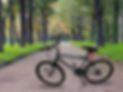 Bike with outdoor background.jpg