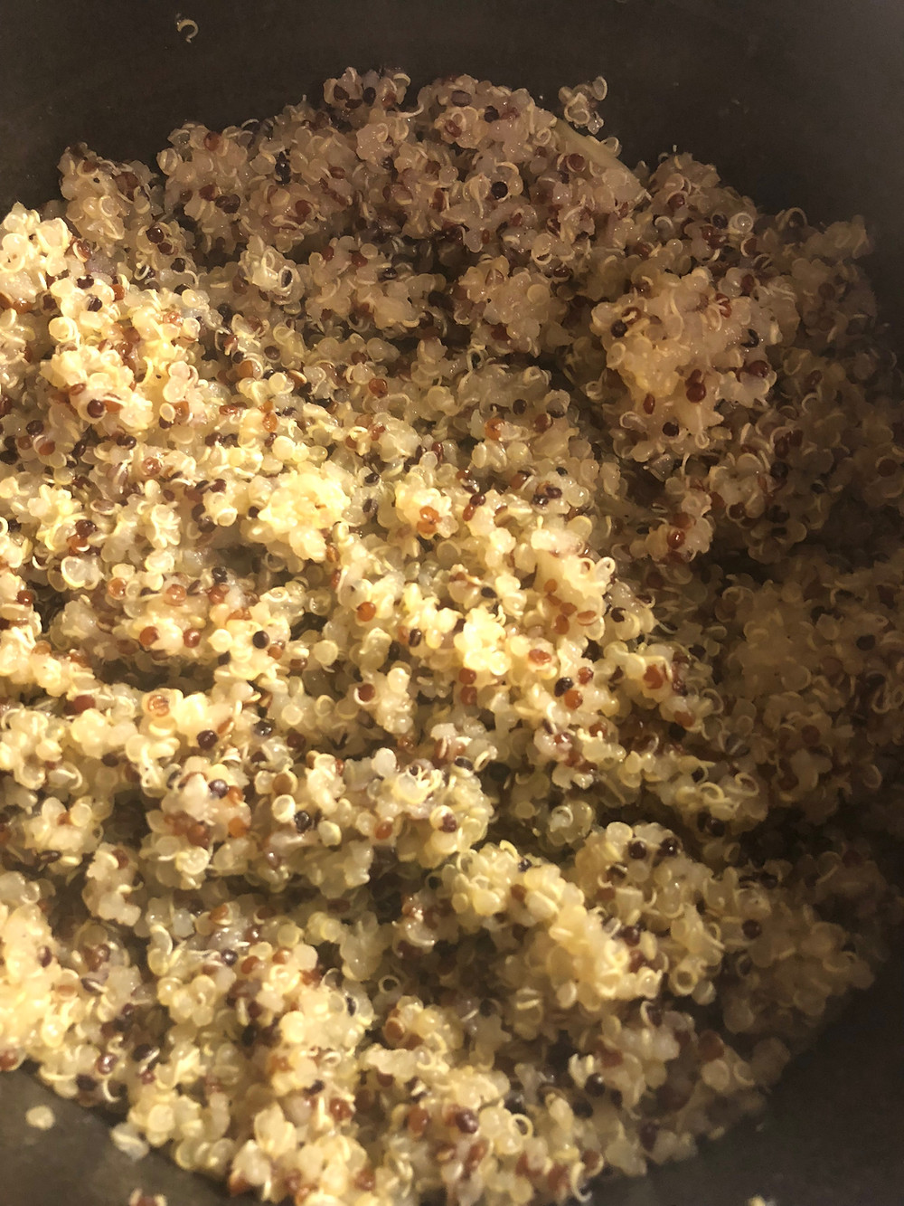 Cooked Quinoa