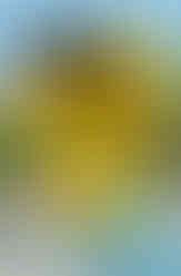 Zero Stars, Do not Recommend