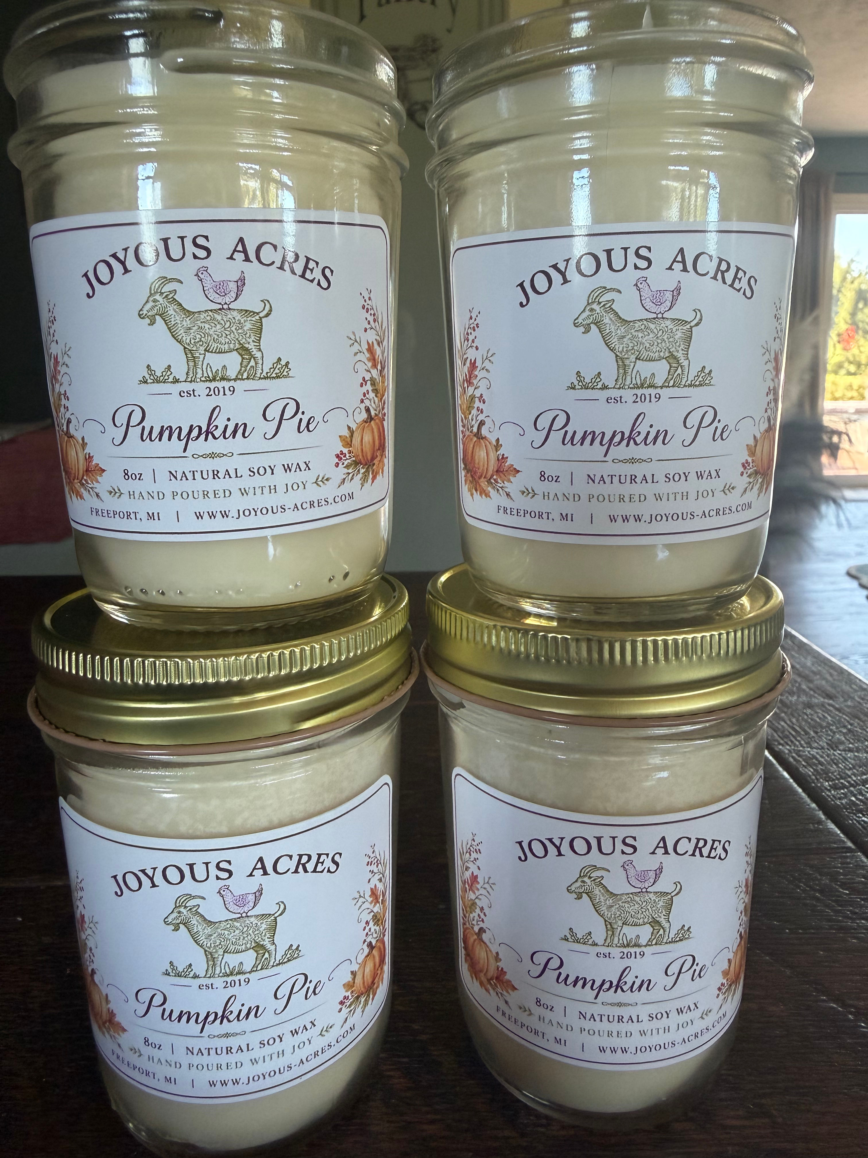 Pumpkin Pie Candle Cotton Wick Clear 8oz