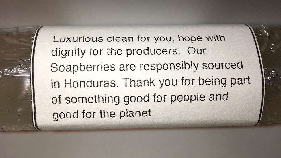 Thumbnail: Soapberry Bath and Body Bars